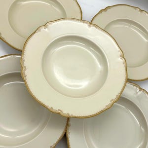 Set Of 4 LARGE SOUP BOWLS - Hutschenreuther Patern #6464