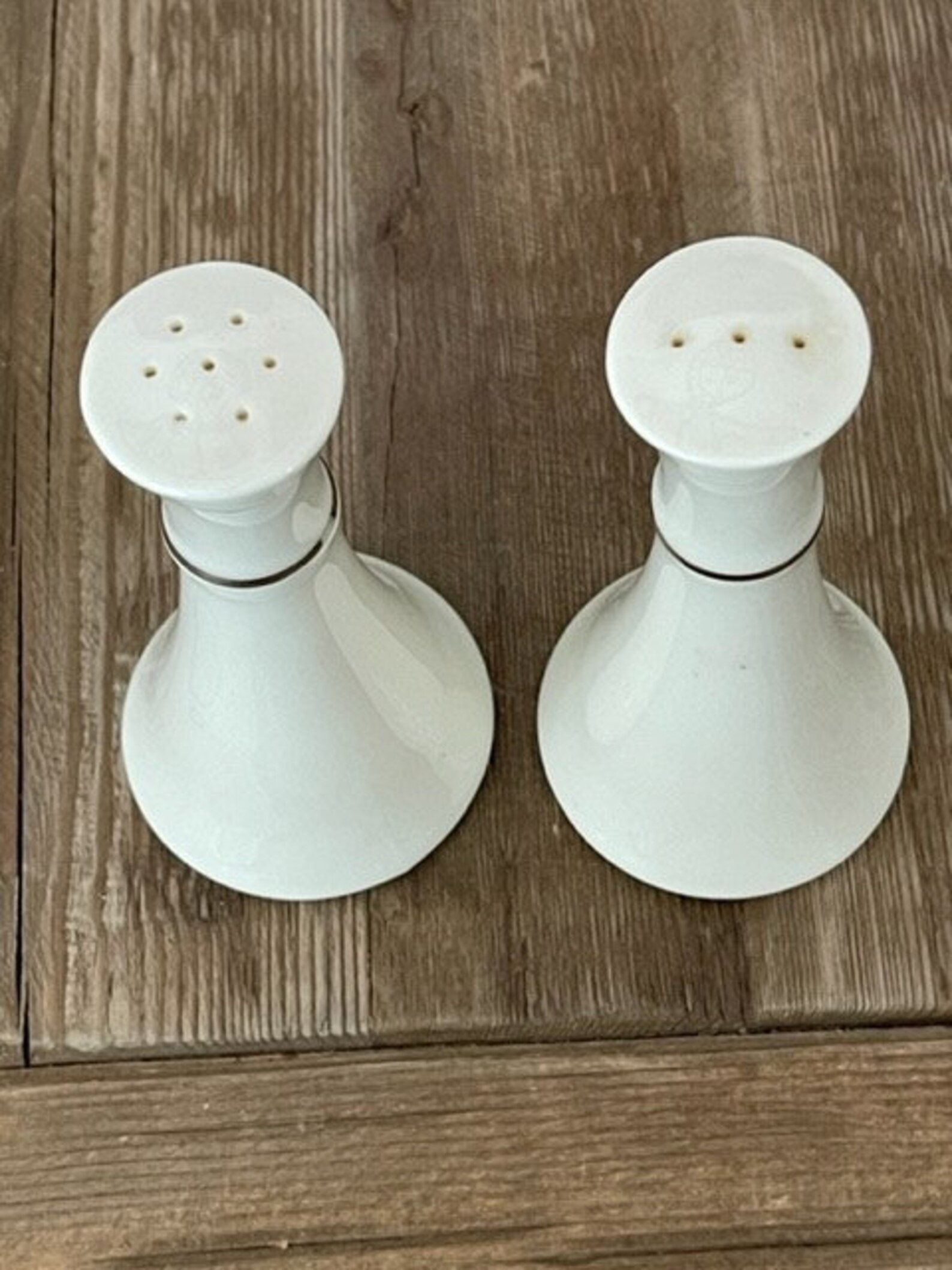 Vintage LENOX Platinum Salt & Pepper Shakers / Thanksgiving Etsy