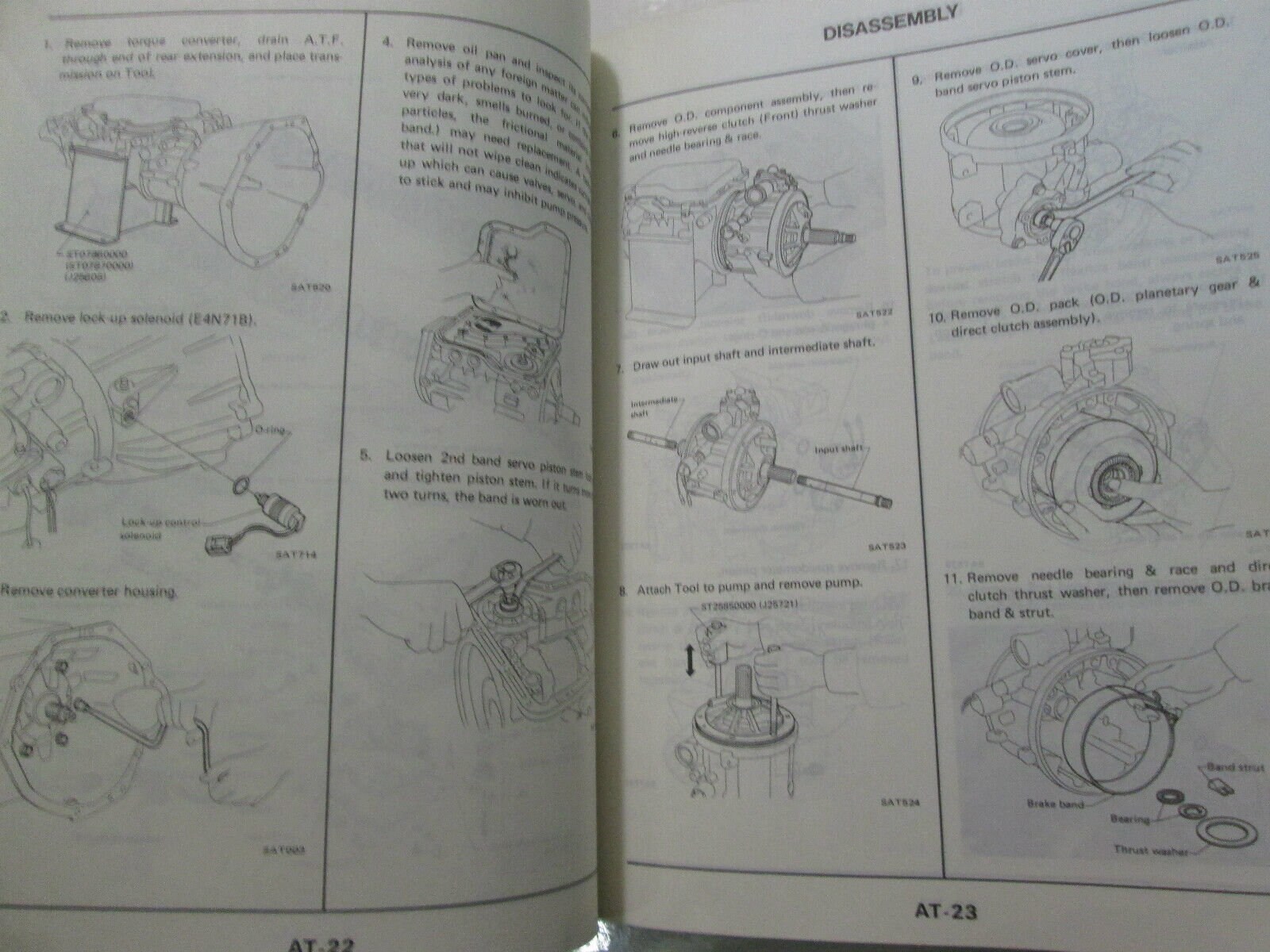のん Comparative Analysis of Heart Regeneration: Searching for