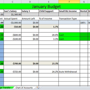 Op de afbeelding: Een spreadsheet met een groen en wit kleurenschema. De spreadsheet heeft de titel "Januari Budget" en bevat kolommen voor inkomstenbronnen, begroot bedrag, daadwerkelijk uitgegeven bedrag, resterend bedrag, percentage van inkomsten, transactietype en totalen. De spreadsheet toont een budget voor de maand januari.