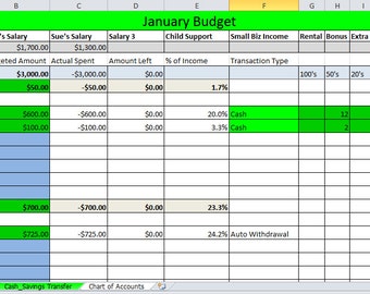 Ledger-Based Budgeting Software Package - Microsoft Excel