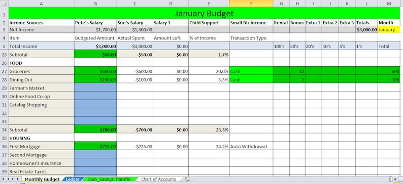 May include: A spreadsheet with a green and white color scheme. The spreadsheet is titled "January Budget" and includes columns for income sources, budgeted amount, actual spent, amount left, percent of income, transaction type, and totals. The spreadsheet shows a budget for the month of January.