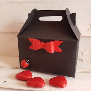 Bomboniera scatolina porta confetti per laurea