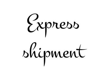Express shipment - Expedited shipping by couriers