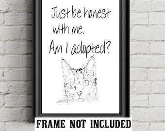 shelter cat, animal rescue, adopted cat, rescue cat, cat lover gift,