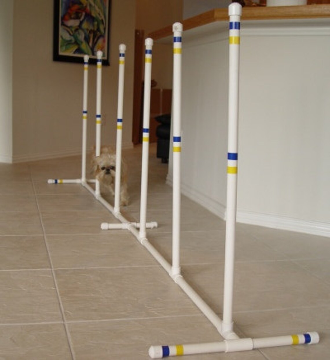 Dog Agility Equipment Indoor Outdoor Weave Poles Set of 6 Etsy