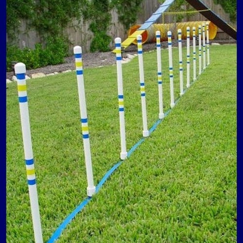 Dog Agility Tire Jump Made From Superior Grade PVC. AKC Etsy