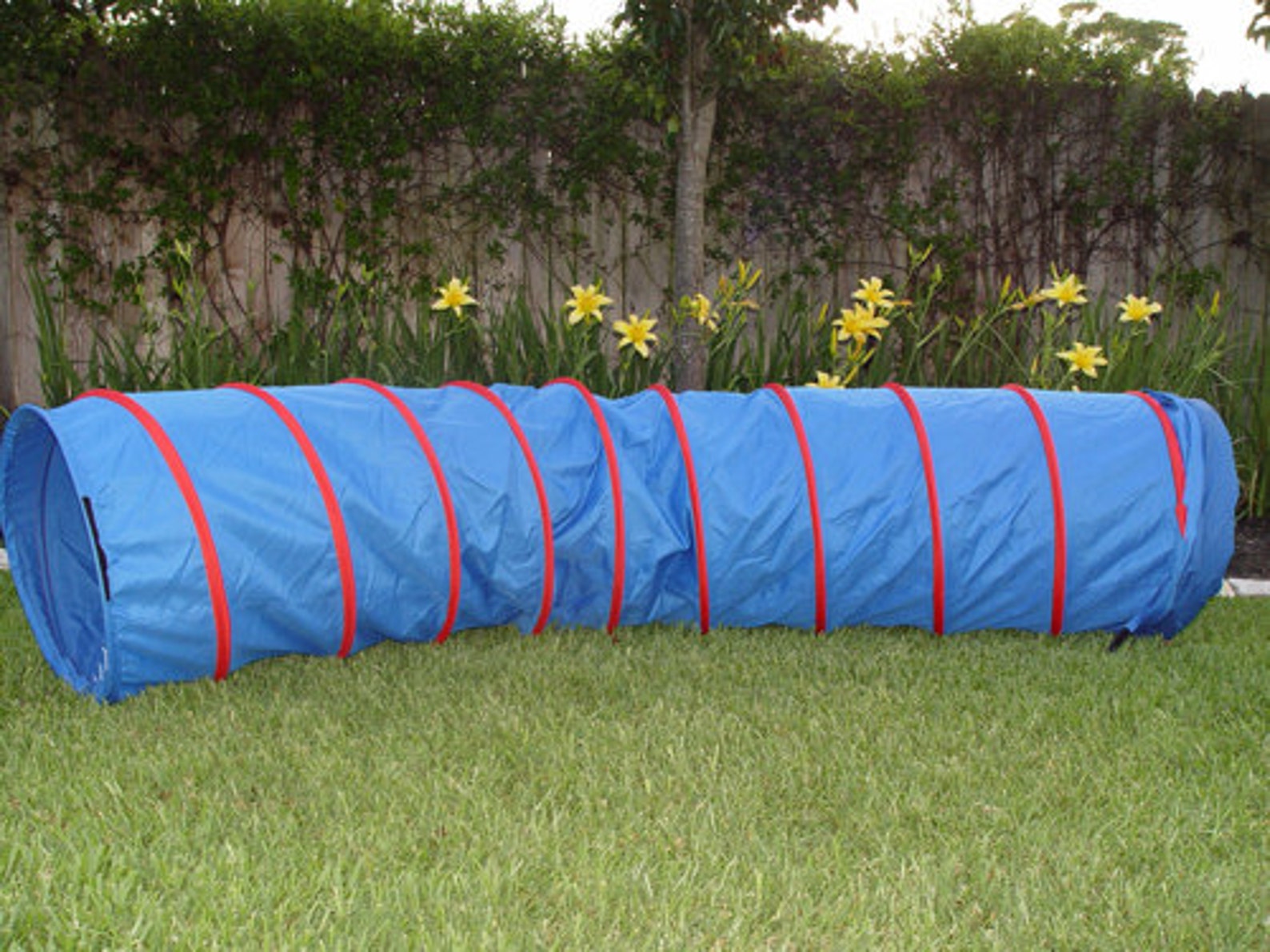Dog Agility Equipment Beginners Bundle Tire Jump Weave Etsy