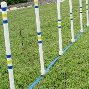 May include: A row of white poles with blue and yellow stripes, set in green grass. A blue ribbon runs along the base of the poles, creating a training course. The poles are evenly spaced, suggesting a dog agility course.