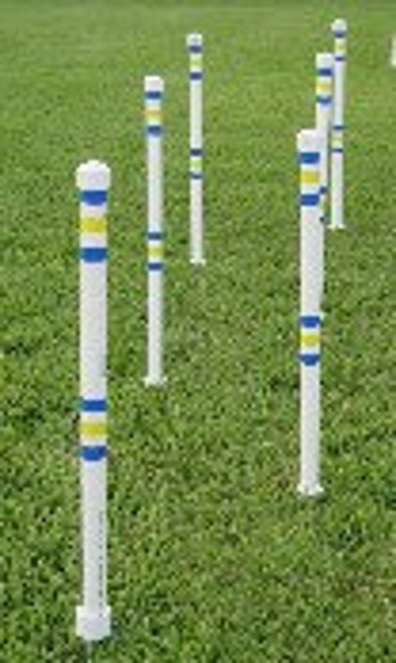 Dog Agility Equipment Stick in the Ground Weave Poles-set of 12 w/pole placer 