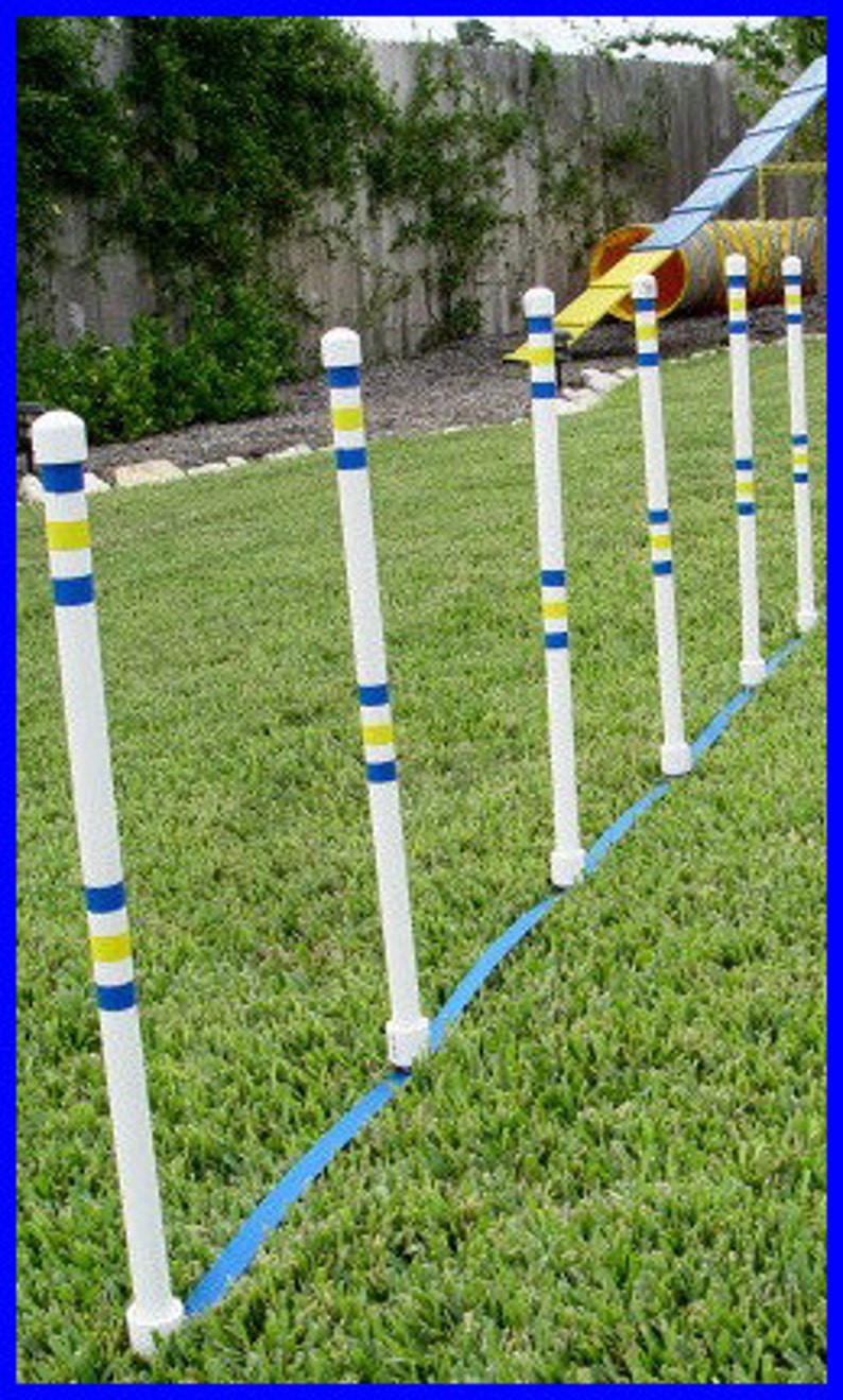 Dog Agility Equipment Beginners Bundle Tire Jump Weave Etsy