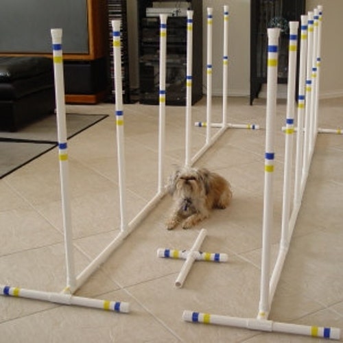 Dog Agility Tire Jump Made From Superior Grade PVC. AKC Etsy