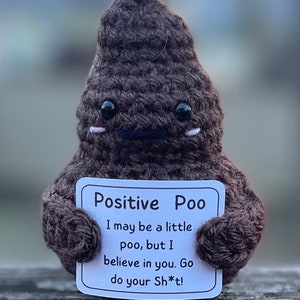 Poep met emotionele steun/handgemaakte gehaakte poep/aangepast poepcadeau/kerstpoepamigurumi/sokkenvuller