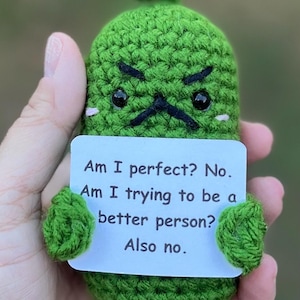 Anti Emotional Support Pickle/Handmade Crochet Pickle/Custom Pickle Gift/Christmas Pickle Amigurumi/Stocking Stuffer/ Cranky Grumpy Pickle