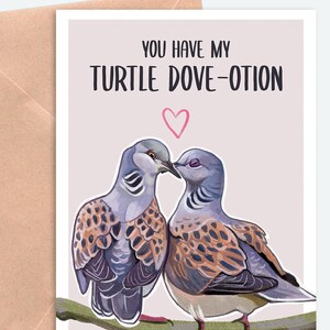 Tienes mi TURTLE DOVEotion - Tarjeta de San Valentín para observadores de aves, amor, aniversario, novio, novia, naturaleza, vida silvestre, cultura de la observación de aves