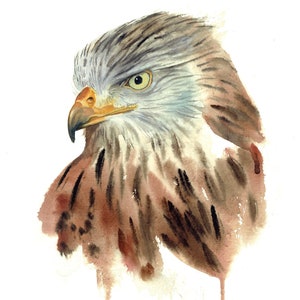Original Red Kite Watercolour Painting by Krysten Newby - A3 on handmade paper, Original Art, British Wildlife, Bird Lover Christmas Gift,