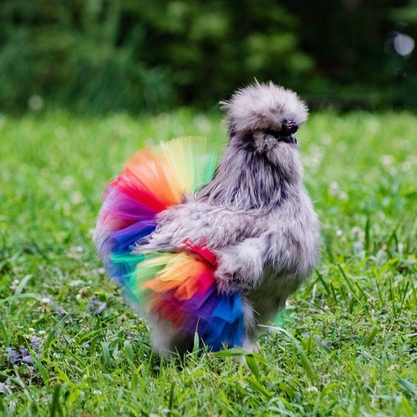 Rainbow Chicken Tutu - Chicken outfit - Crazy Chicken lady - Chicken lover gift - Rainbow Pet Tutu - chicken skirt - backyard chicken farmer