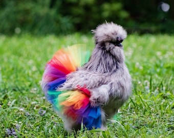 Rainbow Chicken Tutu - Chicken outfit - Crazy Chicken lady - Chicken lover gift - Rainbow Pet Tutu - chicken skirt - backyard chicken farmer