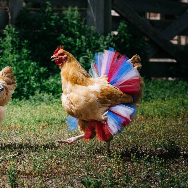 Patriotic Chicken Tutu - Chicken outfit - Crazy Chicken lady - Chicken lover gift - Red, White, and Blue Pet Tutu - chicken skirt