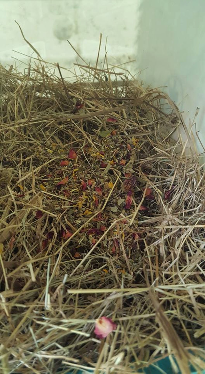 Organic Herbs Chicken Supplies Chicken Coop Chicken Lover Backyard Farmer Gift Nesting Box Herbs -4 oz- Dried Herbs Chicken Gift