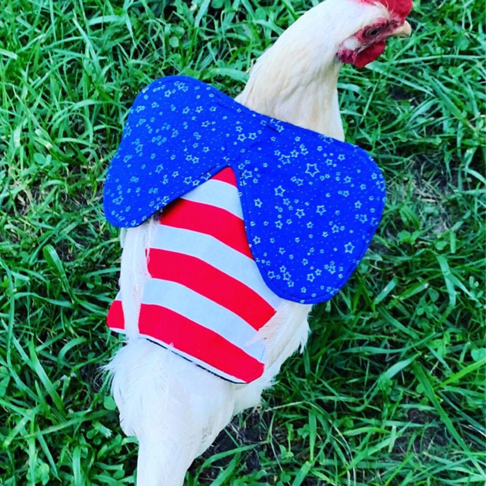 Chicken Saddle Wing Protector Hen Apron Bantam Etsy Denmark