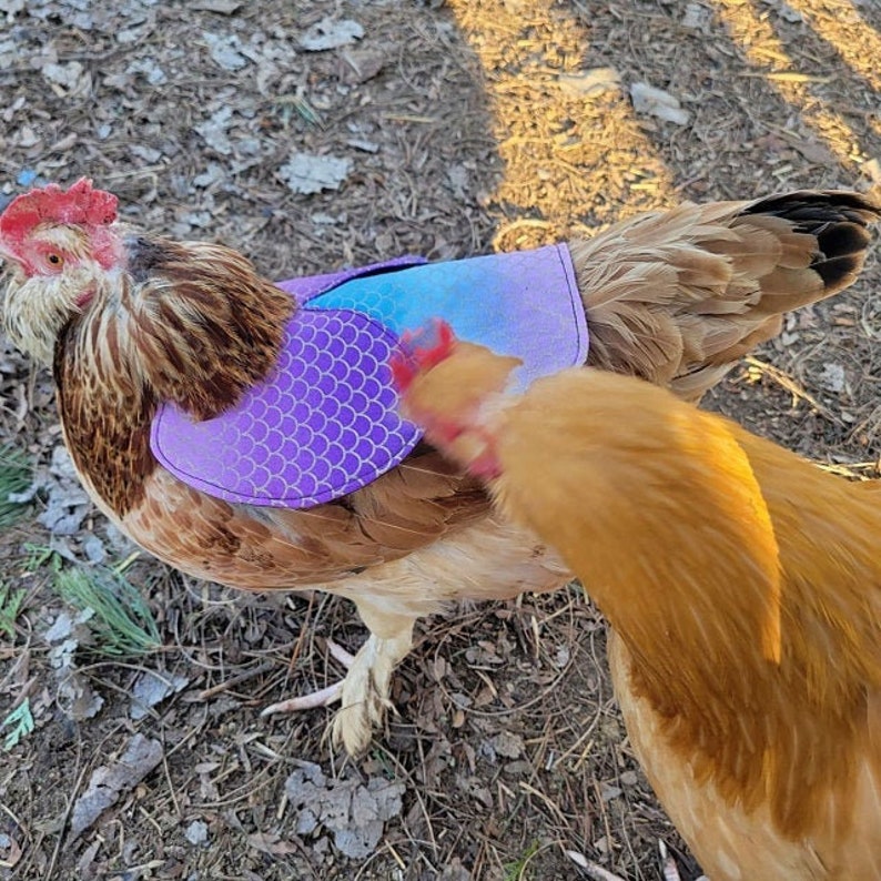 Chicken Saddle Wing Protector Hen Apron Bantam Etsy