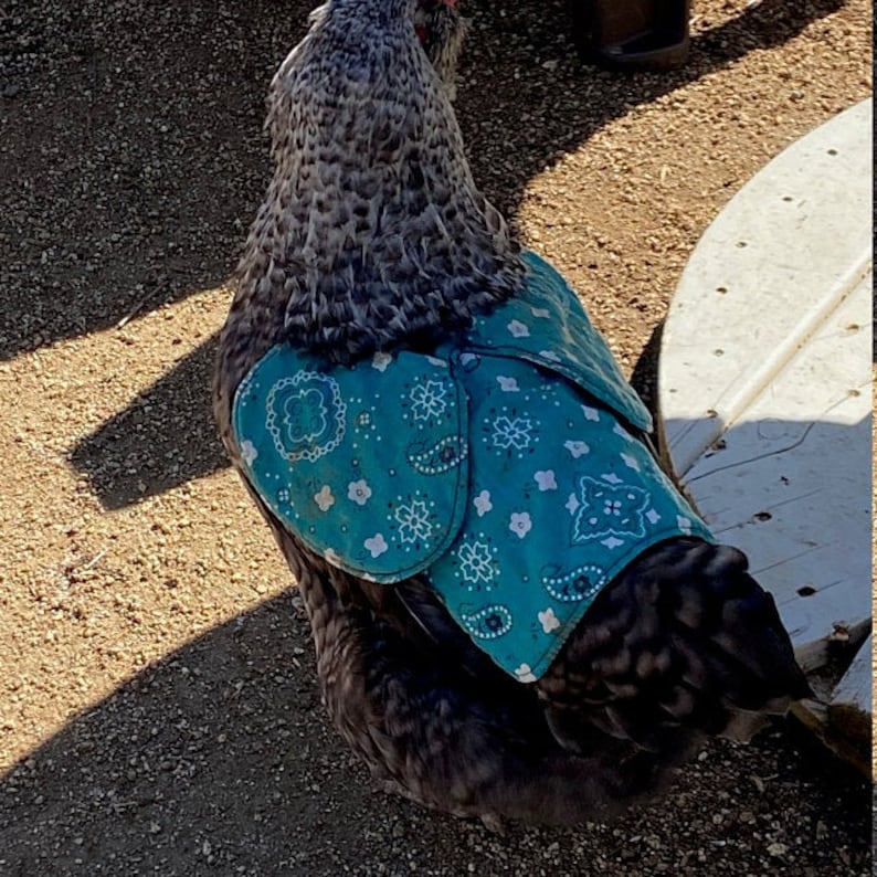 OYIGU Hen Apron, Hen Feather Protective Cover With Elastic, Hen Wing Cover Hens Saddles For Poultry Protector Chicken Saddle