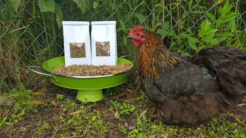Organic Herbs Chicken Supplies Chicken Coop Chicken Lover Backyard Farmer Gift Nesting Box Herbs -4 oz- Dried Herbs Chicken Gift