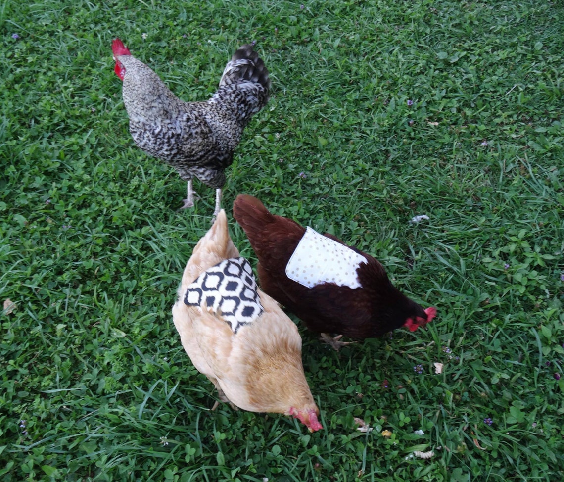 5 Pack of Standard Size Chicken Saddles Hen Aprons Hen Etsy