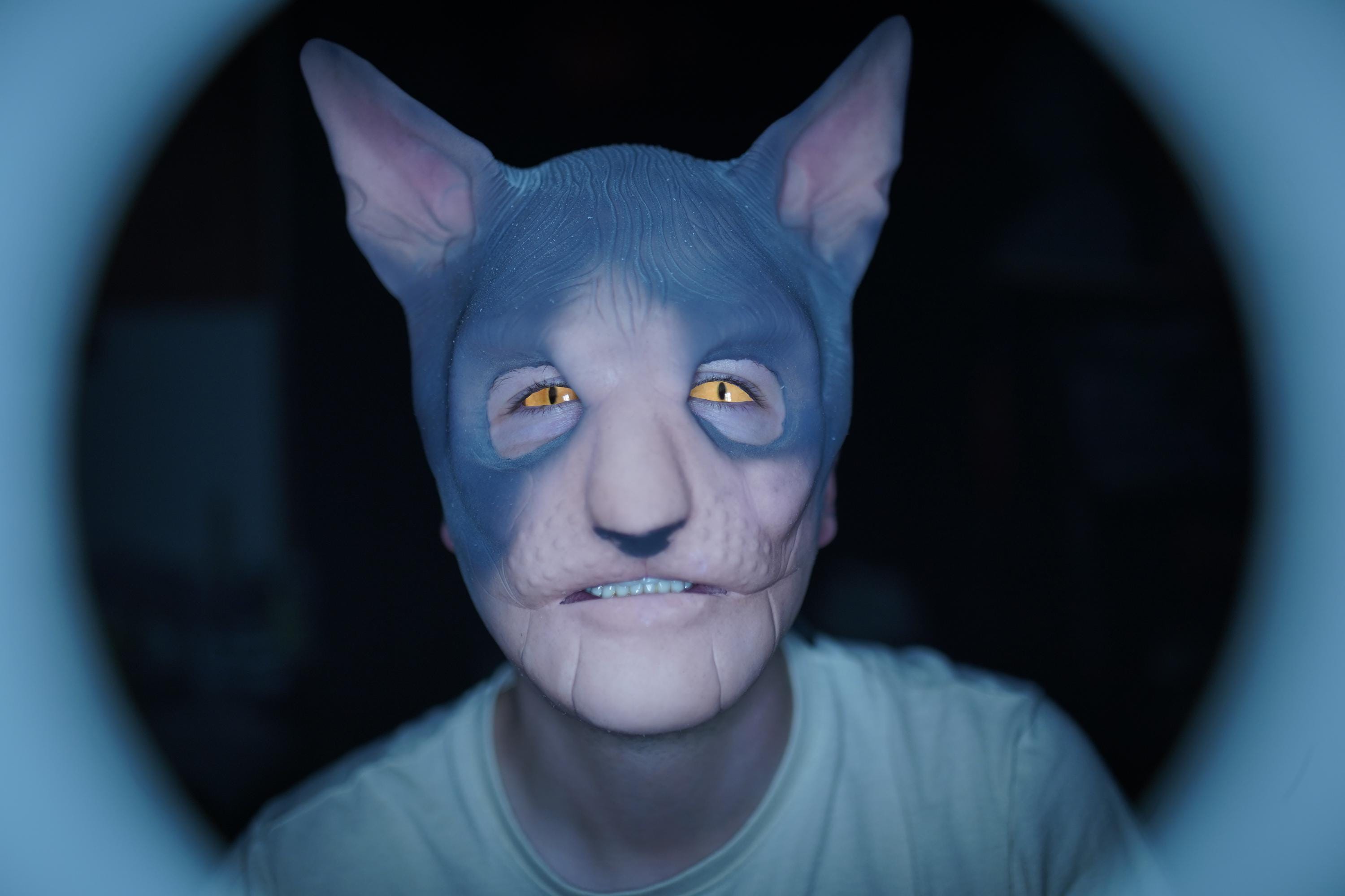 Party Skull Masker Lange Tanden Demon Skelet Half Gezichtsmasker Wolf  Dragon Tiger Houjuu Nue Masker Cosplay Halloween Kostuum Rekwisieten -  AliExpress, image size:3000x2000