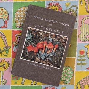 Nordamerikanische Hygrophorus-Art | Wissenschaftliche Geschichte der Pilze | Vintage Natur-Führerbuch