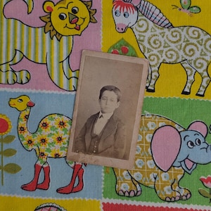 Tarjeta de gabinete con fotografías antiguas / Efímera vintage original / Década de 1800 / Década de 1900 / Retrato de niño victoriano leyendo / F.M. Yeager