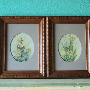 Vintage Butterfly Kay Lamb Shannon Prints in Frames