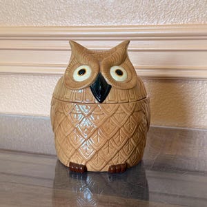 Vintage Hobbyist Owl Cookie Jar