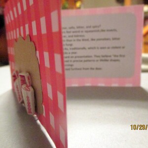 May include: A pink and white checkered card with a brown cutout and attached candy. The card is open, revealing text on a pink background. The date "10/29/2017" is visible.