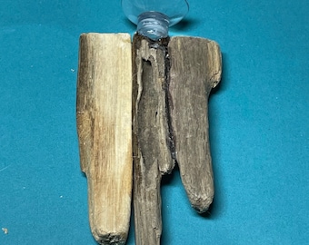 Driftwood Betta Fish Raft: Exotic Pet Rest
