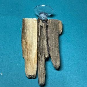 Betta Raft