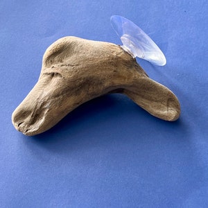 Driftwood Betta Lounger