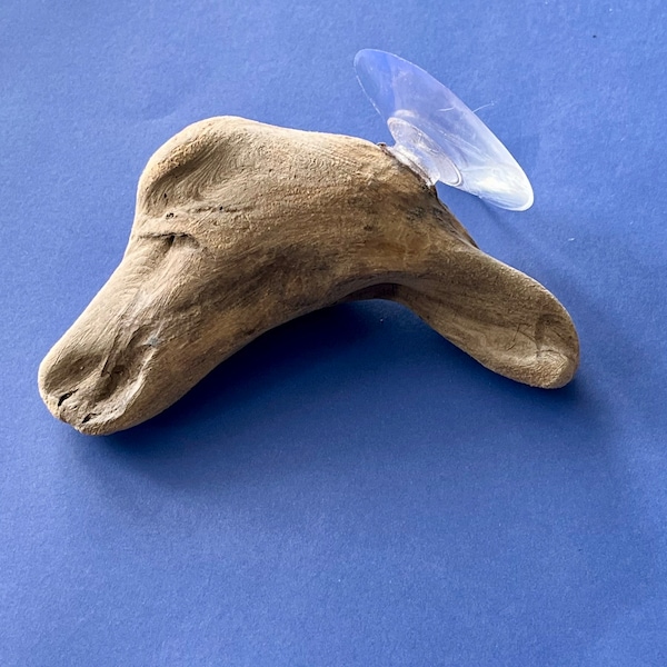 Tumbona de madera flotante para Betta para mascotas acuáticas