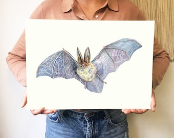 Print Bat