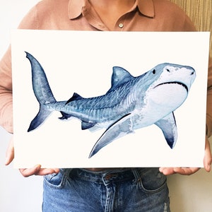 Print Shark