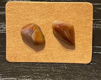 Petrified Wood Post Earrings Genuine Gemstone Earrings