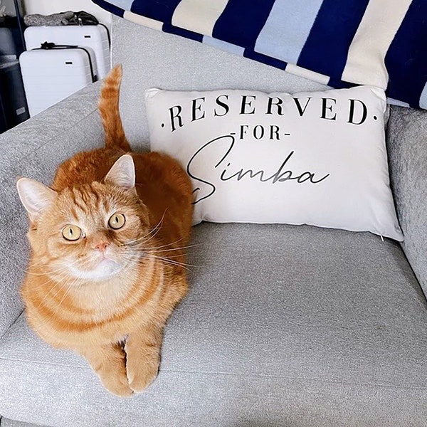 Personalized Cat Pillow Case - Reserved For The Cat Cushion Cover For Cats Bed - Personalised Cat Cushion Covers For Cats