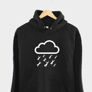 Raining Cats and Dogs Hoodie - Cat Dog Lover Gift