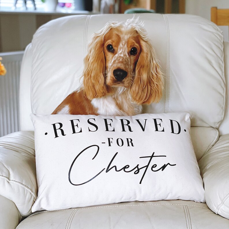 monogrammed dog pillow