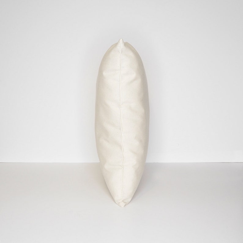 May include: A plain white pillow with a smooth, even surface. The pillow is standing upright on a white background.