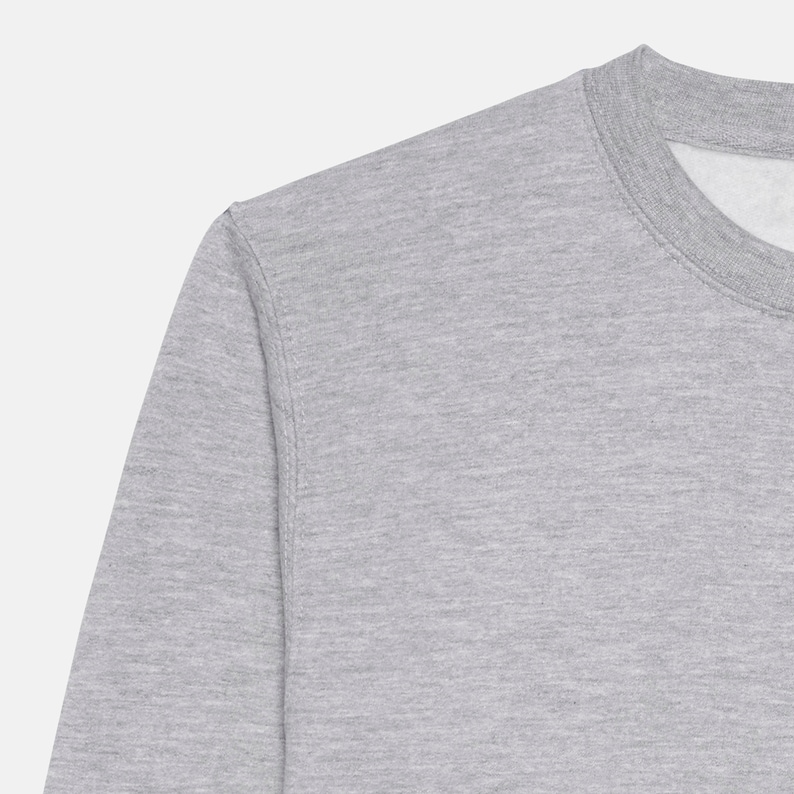 Puede incluir: Una sudadera gris con mangas largas y cuello redondo.