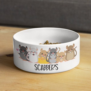 Personalised Pet Bowl | Small Rat bowl | New rat present | pet rat bowl | pet bowl animal bowl | Ceramic pet bowl | Pet Accessories