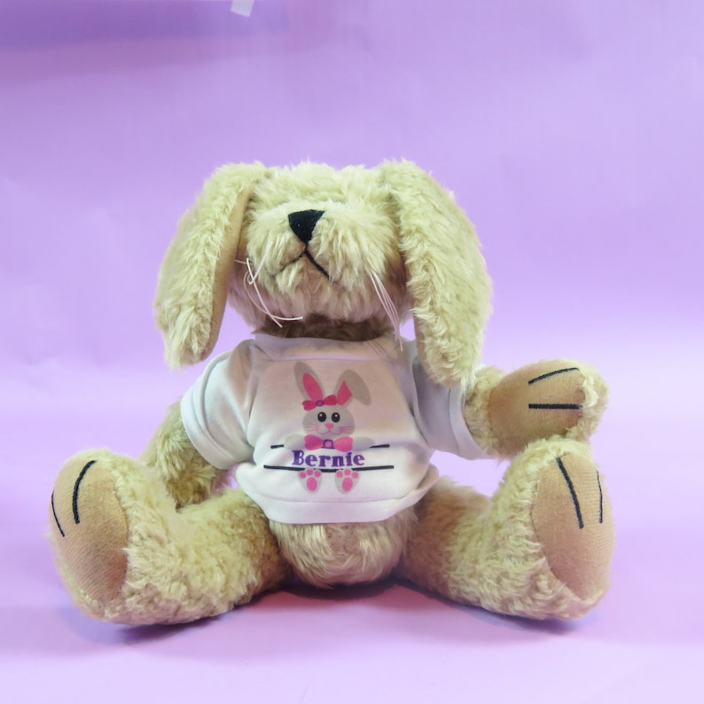 Easter Gift Easter Bunny holding name rabbit ears rabbit toy Easter Gifts Spring Themed Gifts keepsake easter bunny soft toy