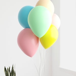 Spring Garden Balloon Bunch, 12 Pack 30cm Latex Balloons, Pastel Party Decor, Baby Shower, Wedding, Birthday Celebration